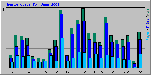 Hourly usage for June 2002