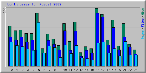 Hourly usage for August 2002