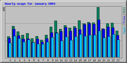 Hourly usage for January 2004
